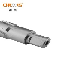 Máy cắt hình khuyên TCT có thân Weldon